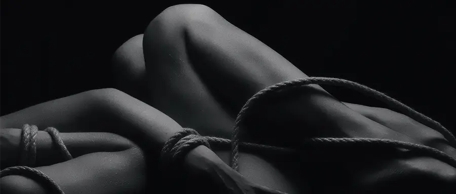 嗨，我对BDSM一无所知，但这些术语你都懂了吗？