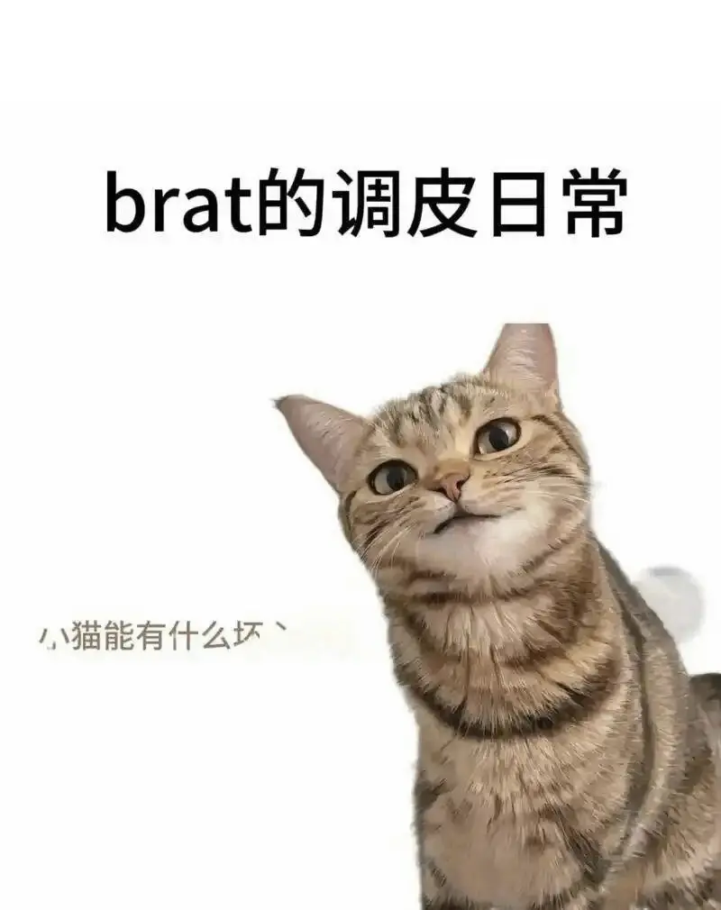 西檬之家-字母圈新人入圈指南：基础术语解析与安全实践