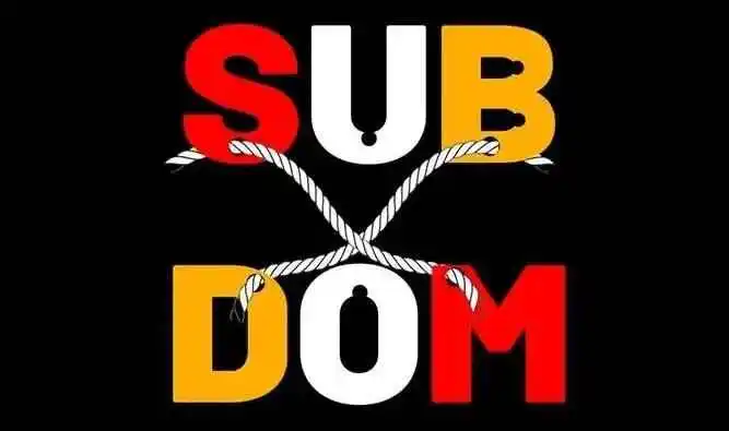 BDSM - 2023_11_09_15_11_IMG_8925