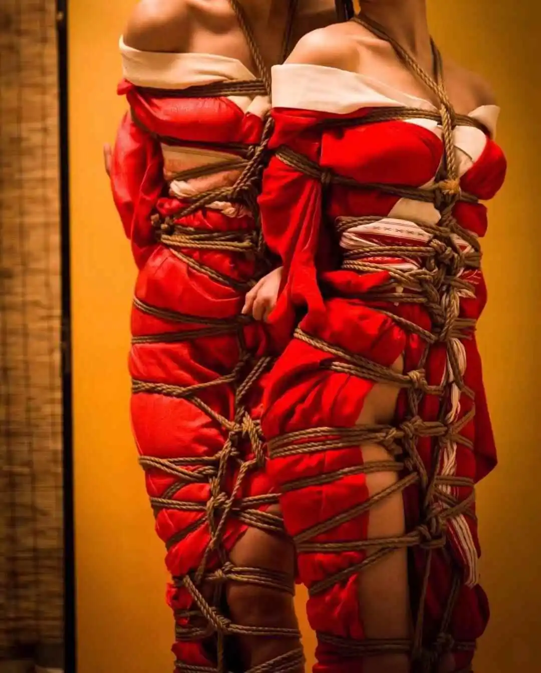 Dom - 2023_11_03_19_38_IMG_8866