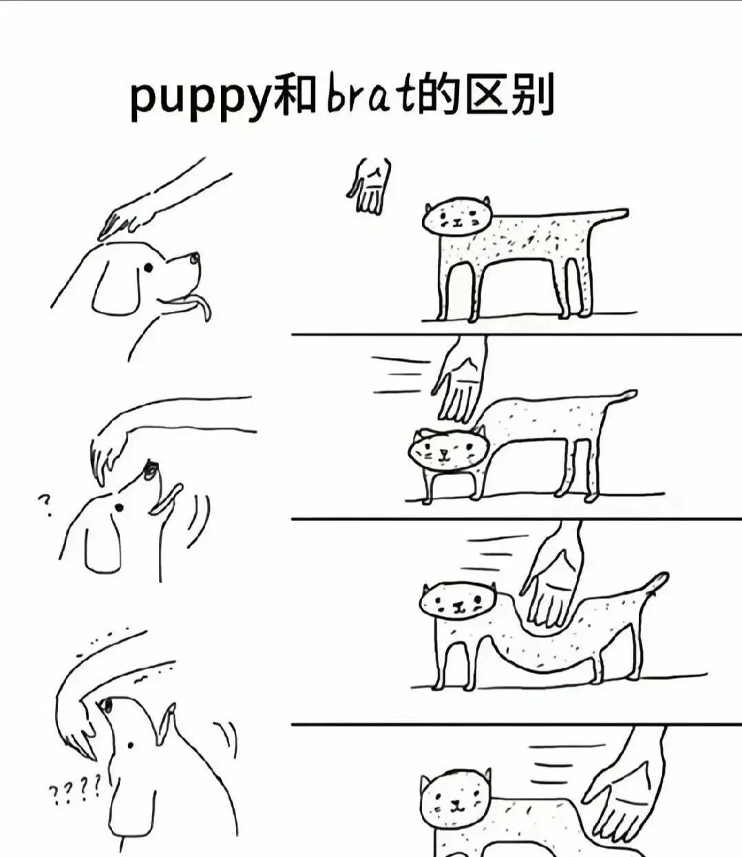 Sub是什么 - 微信图片_2025-11-13_180940_765