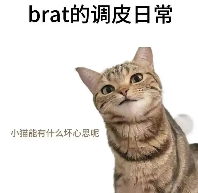 【西檬之家】字母圈新人入圈指南：如何安全理解管教与BDSM