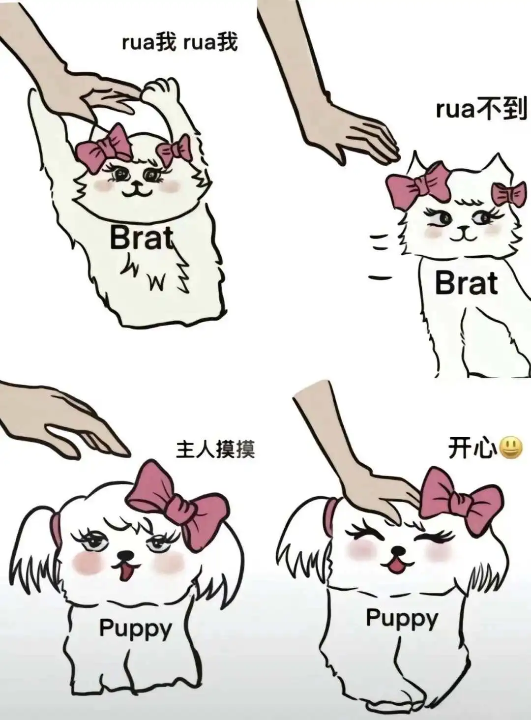 西檬之家-字母圈的Sub是什么？新人指南
