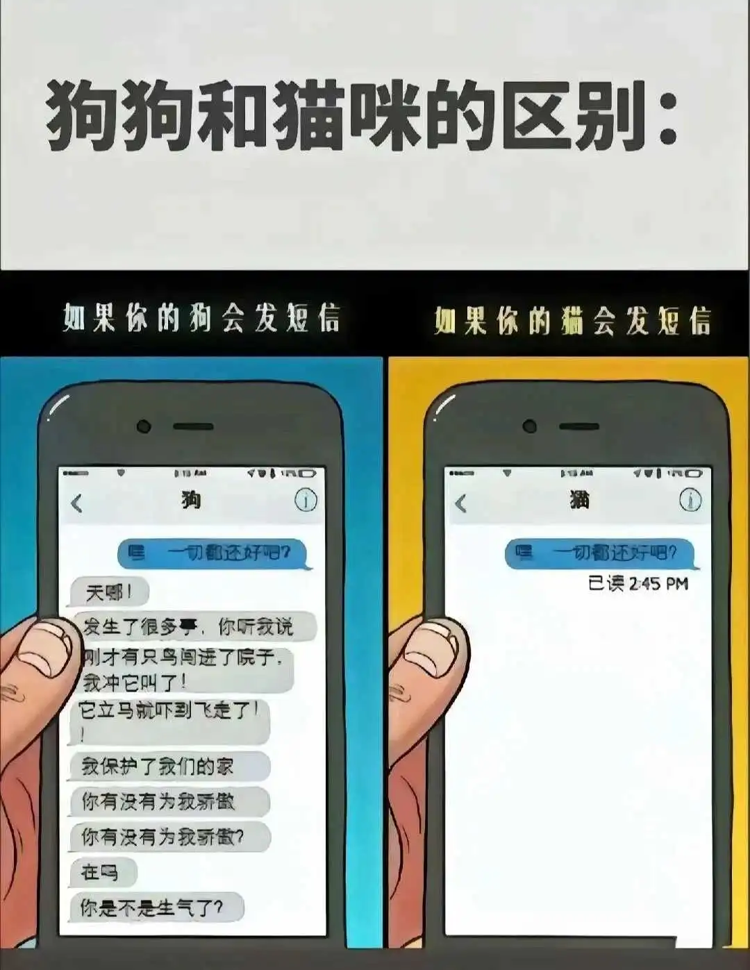 小圈 - 微信图片_20250713011414