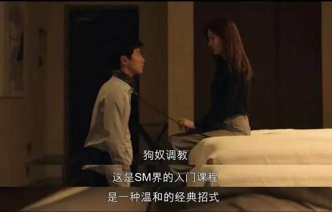 西檬之家BDSM新人入圈指南：从术语到实践
