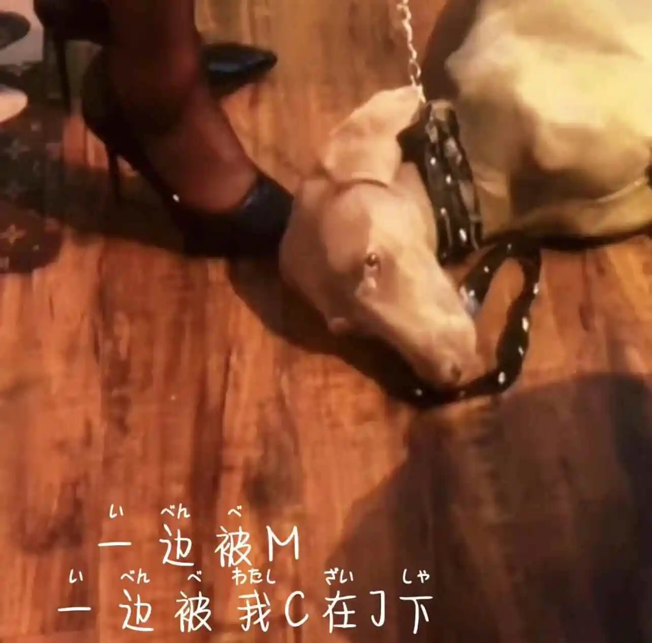 【西檬之家】女王：字母圈新人如何理解权力交换与角色边界