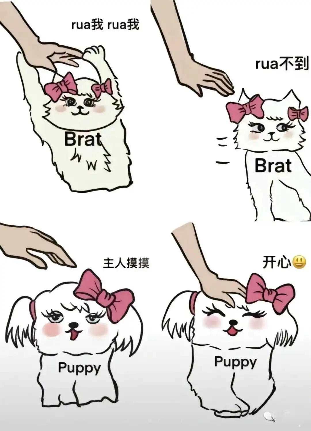 【西檬之家】K8是什么？BDSM中的猫系角色扮演